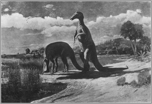 Fig. 29.: Restoration of the Duck-billed Dinosaur Trachodon.
