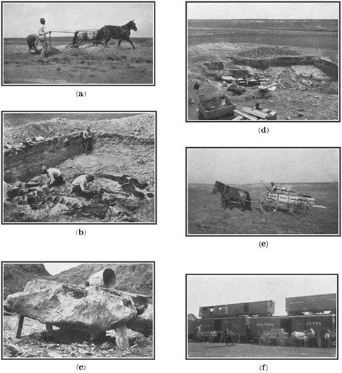 Fig. 45.: Collecting Dinosaurs at Bone-Cabin
Quarry.