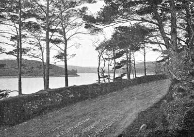 View on the Blackwater, Youghal