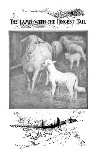 THE LAMB WITH THE LONGEST TAIL