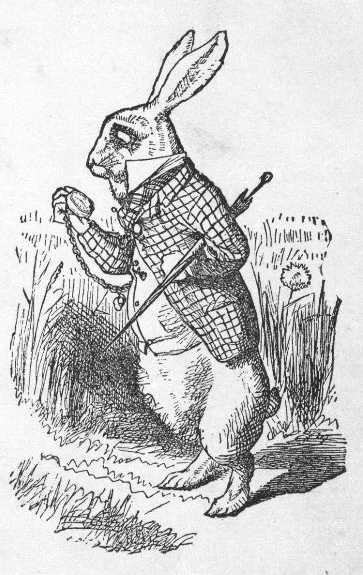 Image result for image alice in wonderland rabbit oh dear oh dear