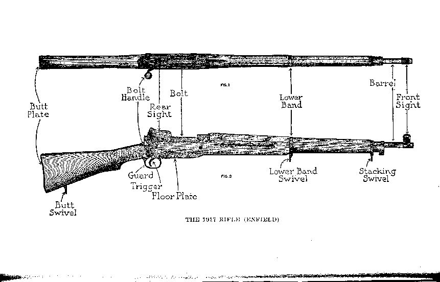 THE 1917 RIFLE (ENFIELD)