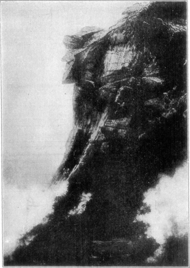 Corn husking bee Corn husking bee