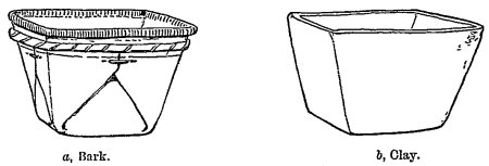 a, Bark. b, Clay. Fig. 469.—Form derived from a bark vessel.