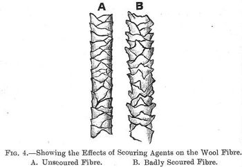 Effects of scouring agents