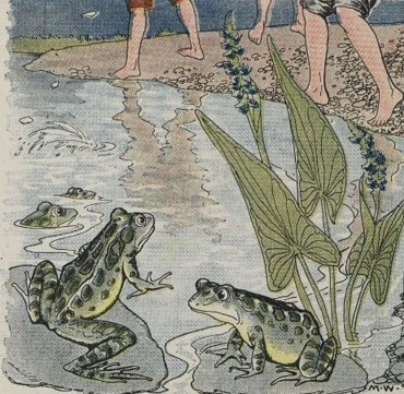 THE BOYS AND THE FROGS
