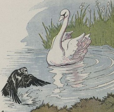 A RAVEN AND A SWAN