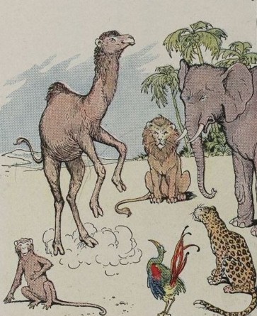 THE MONKEY AND THE CAMEL