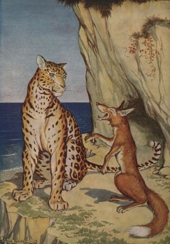 THE FOX AND THE LEOPARD