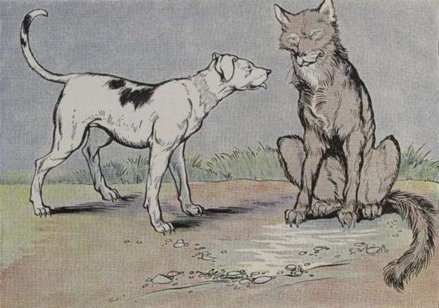 THE WOLF AND THE HOUSE DOG