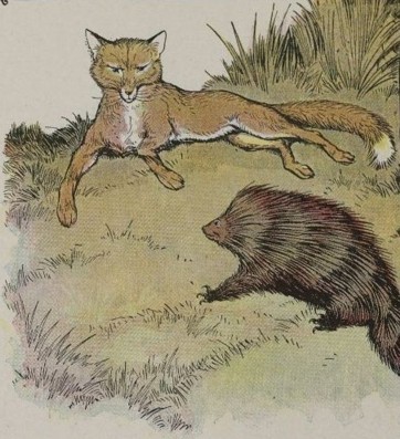 THE FOX AND THE HEDGEHOG