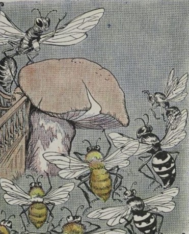 THE BEES AND WASPS, AND THE HORNET