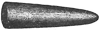 Fig. 3.—Fossil fetich.