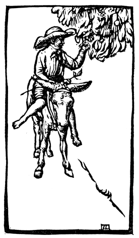 A man on a donkey picks fruit from a tree.