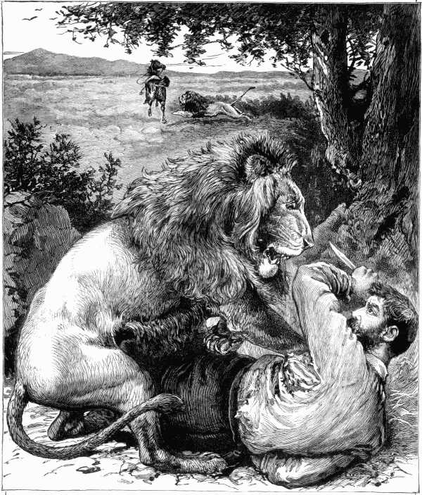 "The second lion seized him."