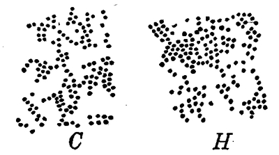 Fig. 17.--Diagram showing distribution of hot and cold spots on the back of the hand. C, cold spots; H, hot spots.
