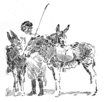 A peasant boy with donkeys