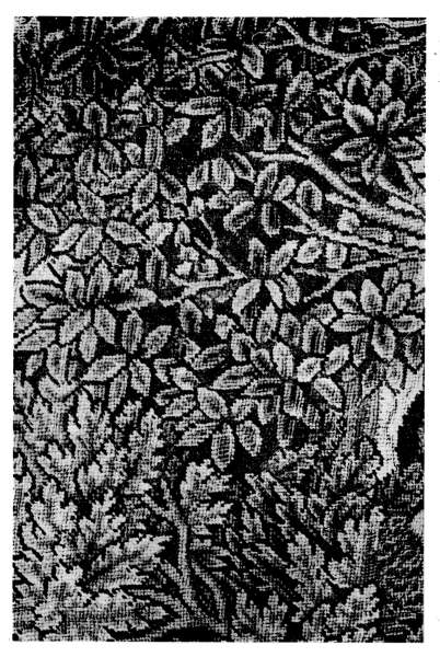 Plate VI.—A detail of Foliage taken from a late XVIth
Century Embroidered Picture, representing the story of Daphne.