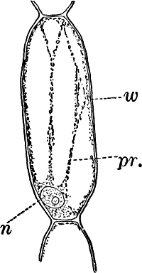 Fig. 1.