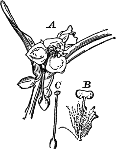 Fig. 85.