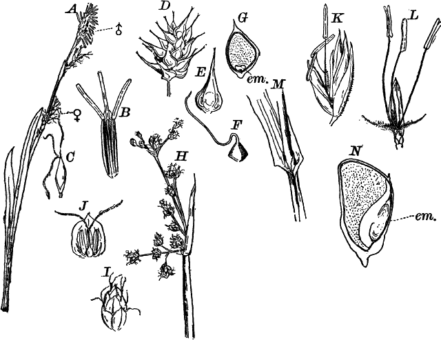 Fig. 87.