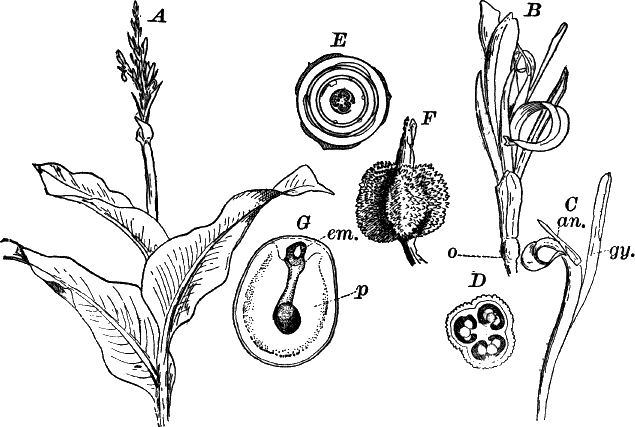 Fig. 88.