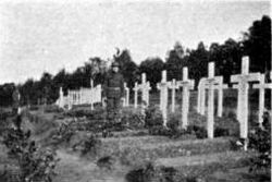 Cemetery At Camp La Courtine