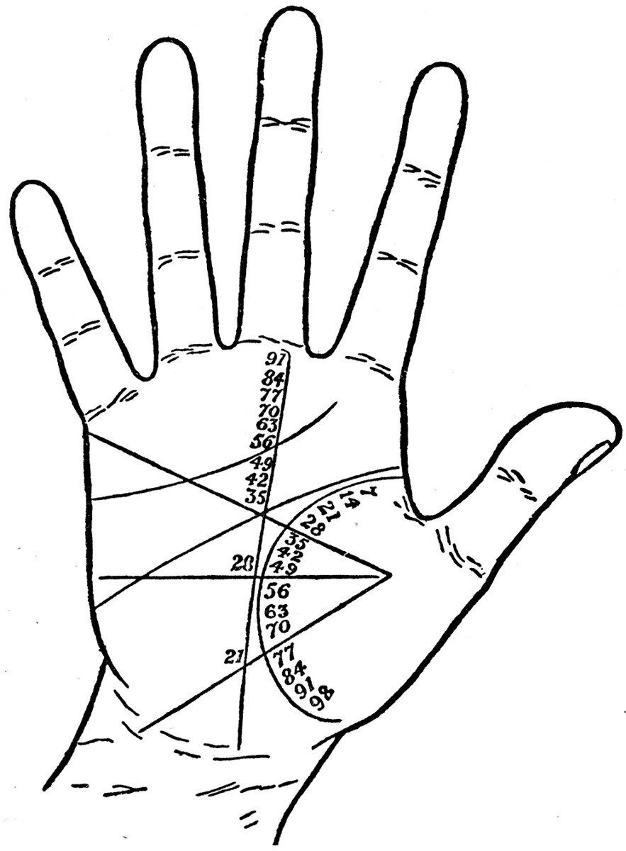Women Breast Size Shape Tells About Her ~ INDIAN PALMISTRY, PALM READING