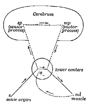 The Project Gutenberg eBook of The Story of the Mind, by James Mark Baldwin