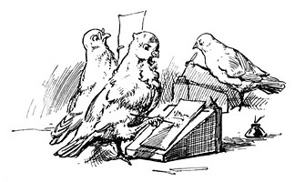 Some pigeons were kept busy writing the news that the wind brought