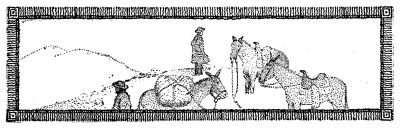 line drawing, men, mules & horse