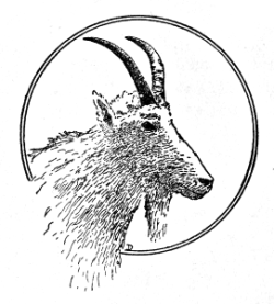 line drawing: mountain goat