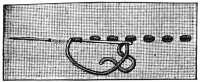 FIG. 177. SIMPLE KNOT STITCH.