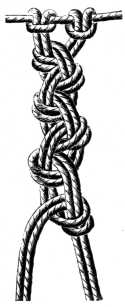 FIG. 546. DOUBLE CHAIN.