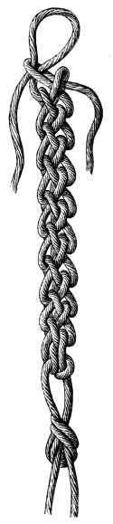 FIG. 835. KNOTTED CORD.