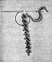 FIG. 870. OLD GERMAN KNOTTED STITCH.