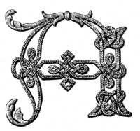 FIG. 882.
LETTER A OF THE
ALPHABET IN SOUTACHE
IN ITS FINISHED
STATE.