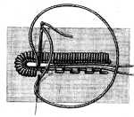 FIG. 30.
BUTTON-HOLES IN DRESS-MATERIALS.