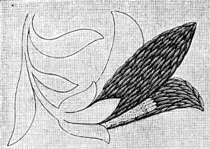 FIG. 221.
ENCROACHING SATIN STITCH.