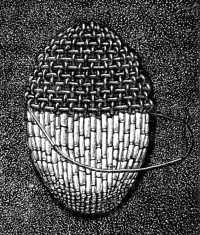 FIG. 249.
PLAITED STITCH IN GOLD
PURL ON A CORD FOUNDATION.