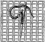 FIG. 274. ROCOCO STITCH.
FIRST STITCHES ON THE WRONG SIDE.