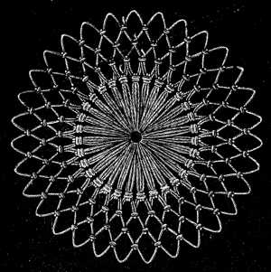 FIG. 621. CIRCULAR NETTING COMPOSED OF
LONG AND SHORT LOOPS.