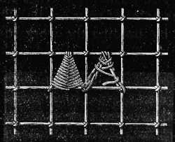 FIG. 648. POINTED SCALLOPS IN
DARNING STITCH.