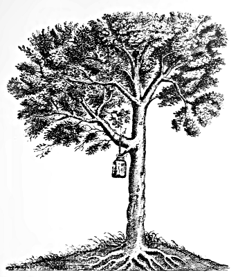 Diagram of a tree, showing the roots underground, and with a bottle hanging from one of the branches