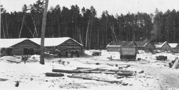 Fig. 3. Winter Logging Camp. Itasco County, Minnesota.