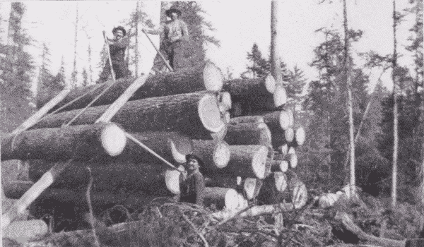 Fig. 11. Decking Logs on Skidway.