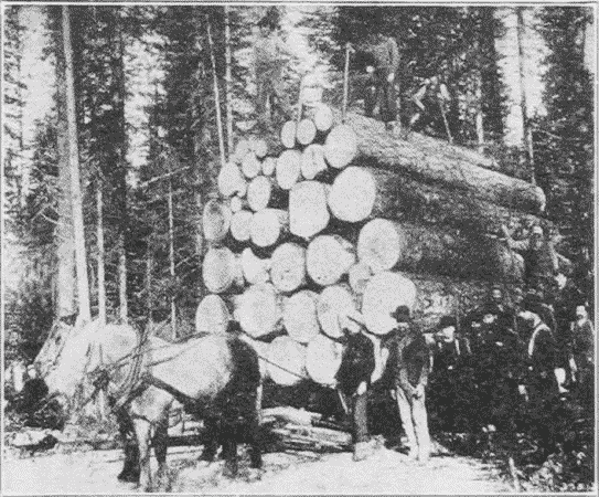 Fig. 13. A Load of Logs. Flathead County, Montana.