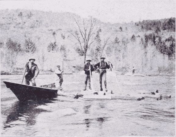 Fig. 17. Log Driving on the Ausable River.