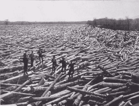 Fig. 21. Logs in Boom. Glens Falls, New York.