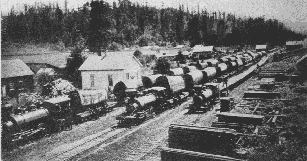 Fig. 28. Log Train, Humboldt County, California.